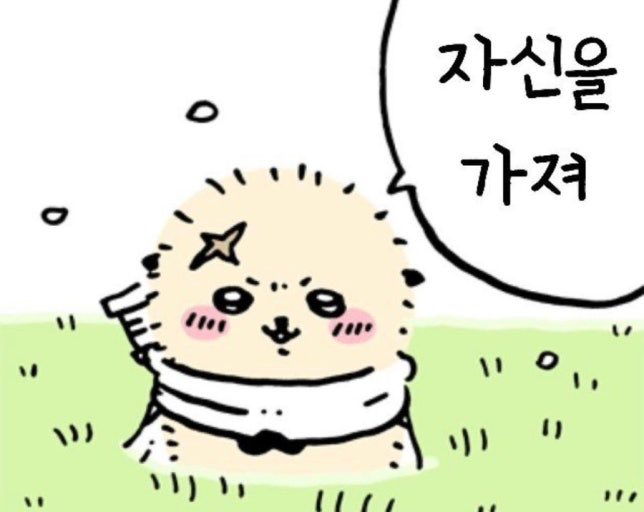 Rakko2401's tweet photo. #치이카와_트친소 #치이카와트친소
#먼작귀_트친소 #먼작귀트친소 

랏코를 사랑합니다 ❕ 트윗용어도 미숙하고 치이카와도 최근에 입덕햇습니다

같이 치이카와 이야기하고 토벌공유도 해요 ,, 🩵

맘찍 해주시면 팔로 찾아갈게요 ☁️
잘 부탁드려요 - 💘 https://t.co/t2WIaCpmRI