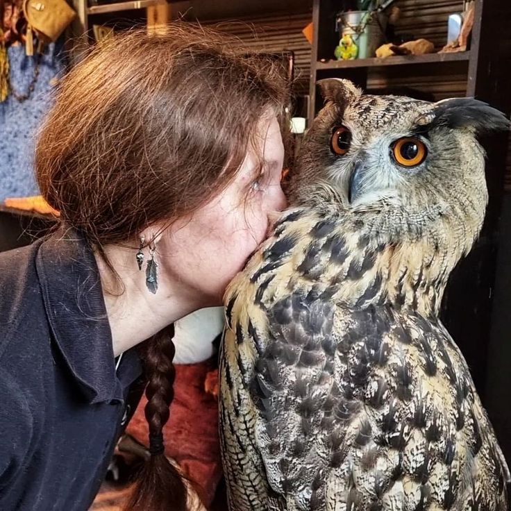 koelooooo's tweet photo. kisses bird* kisses bird* kisses bird* kisses bird* kisses bird* kisses bird* kisses bird* kisses bird* kisses bird* kisses bird* kisses bird* kisses bird* kisses bird* kisses bird* kisses bird* kisses bird* kisses bird* SNIIIIIFFFFFS bird* https://t.co/QhkWCaedNs