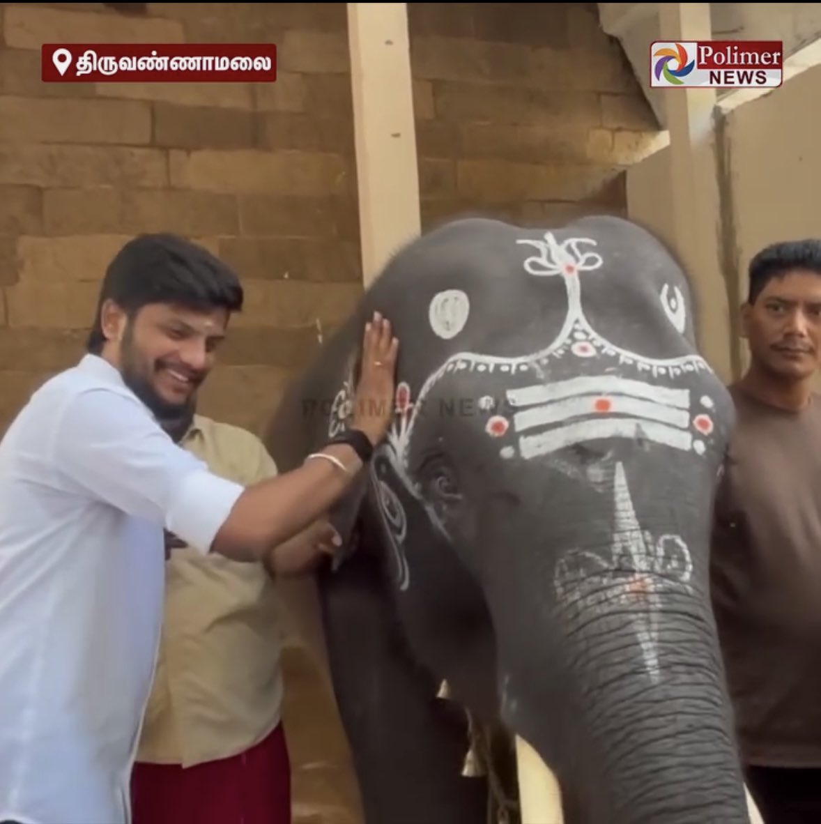 PFCII's tweet photo. A new name: NAMASHIVAYA. But what changes for this young elephant?
A sacred name cannot replace freedom, space or companionship. The mahout holds an ankush (bull hook) as the elephant stands amid a crowd for a photo-op, controlled by the threat of pain.
Rule 6(4) of the TN Captive Elephants Rules, 2011 requires a notice asking pilgrims not to feed temple elephants. When those in power ignore this on camera, devotees and children follow.
Reunite Hiralal, Durga, Bijuli, Shiva and Rupsing with their families. Stop further transfers. True devotion is compassion, not captivity!
@CMOTamilnadu @TVKVijayHQ - your subordinates are misleading you, please form a SIT & take action on all those who are involved in trafficking of elephants go Tamil Nadu from Assam.
Note the Knife & Dragging by the Ear of Hiralal in the 4th image.
#SaveTheFive #VerifyTheFive #FreeTheFive #NoElephantsInTemples #StopElephantCaptivity