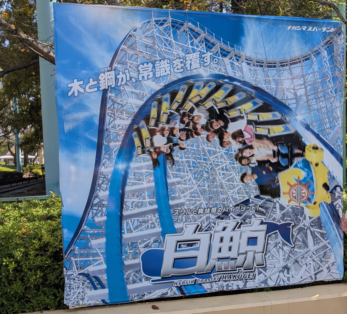 torihachu's tweet photo. 今日は家族でナガシマスパーランドへ。子どもも大きくなり乗り物の身長制限はほぼ無くなり、白鯨というとんでもないジェットコースターに初めて乗りました(；・∀・)

ここは風雨来記5の登場スポットで、プレイ動画見たらこの白鯨に乗ってました。実はまだ未プレイ、来年までには履修します(・ω・) https://t.co/L24HDMRlhi