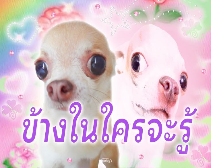 huajaihaeha_'s tweet photo. มาเสนอตัวคับ ไข่ต้มรับงานออกแบบ Giveaway แฟนคอนจจจคับ อยากได้แบบไหนบรีฟได้เลยยย สติ๊กเกอร์ โปสการ์ด หรืออย่างอื่นรับหมดครับ ราคาสอบถามก่อนด้ายยย เสร็จงานส่งให้เป็นไดร์ฟส่งต่อให้ทางร้านได้เลยคับ🍀🙌🏻

#ตลาดนัดแจนจิงจิง https://t.co/xD2P0ppSB6