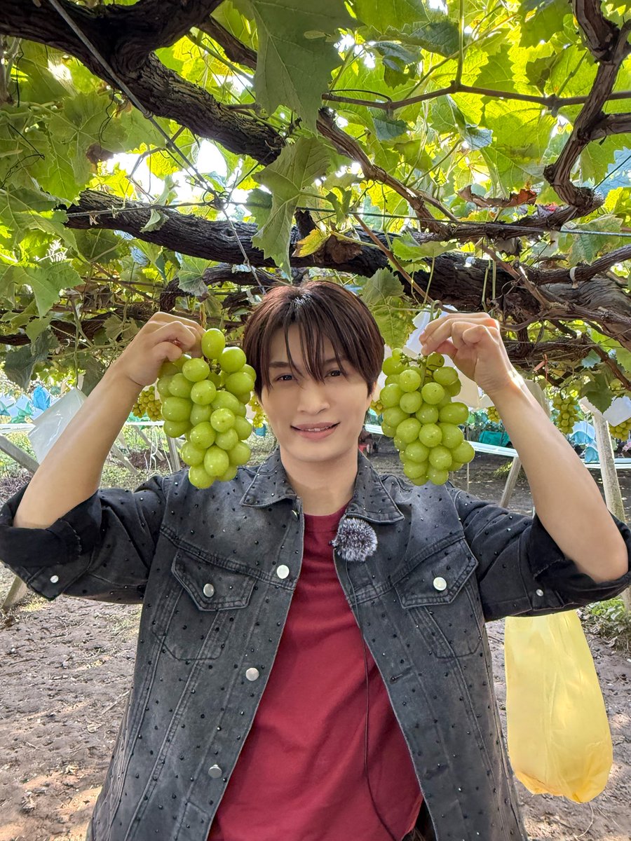 jr_official_X's tweet photo. 明日の朝09:00から放送の
『 #DayDay. 』に #ACEes より
#那須雄登 と #深田竜生 がVTR出演します💙💚

今回も日帰りバスツアー対決🚌💨⚔️
" シャインマスカット、極早生みかん食べ放題編 "をお届け🍽️

さらにスタジオには…‼︎
#浮所飛貴 が曜日メンバーとして登場します🌱🧡

ぜひご覧ください✨ https://t.co/bUkJnizrnr