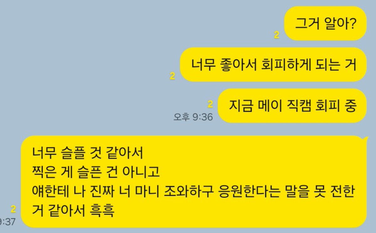 tofu_may's tweet photo. 예.. 지금 회피 중이에요.. #메이야하고울었다 https://t.co/VwlWHDLTef