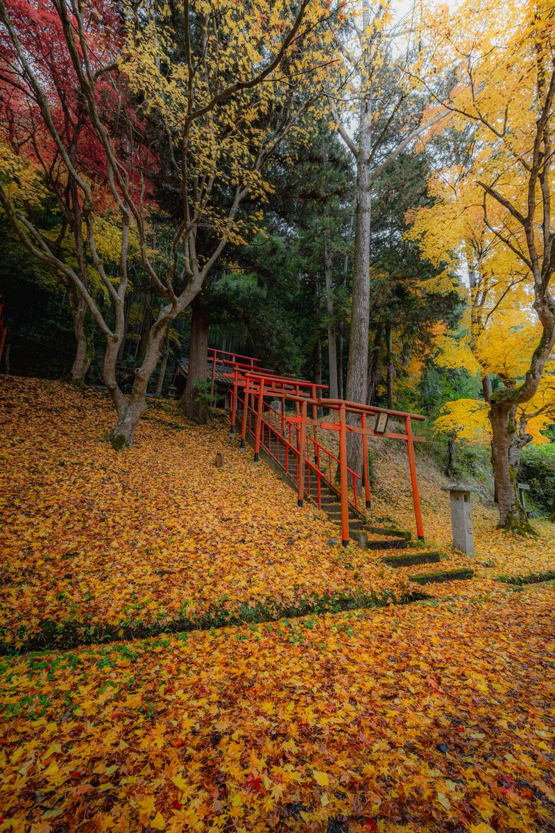 yuya0240's tweet photo. 紅葉の階段 https://t.co/Db7zsZJRje