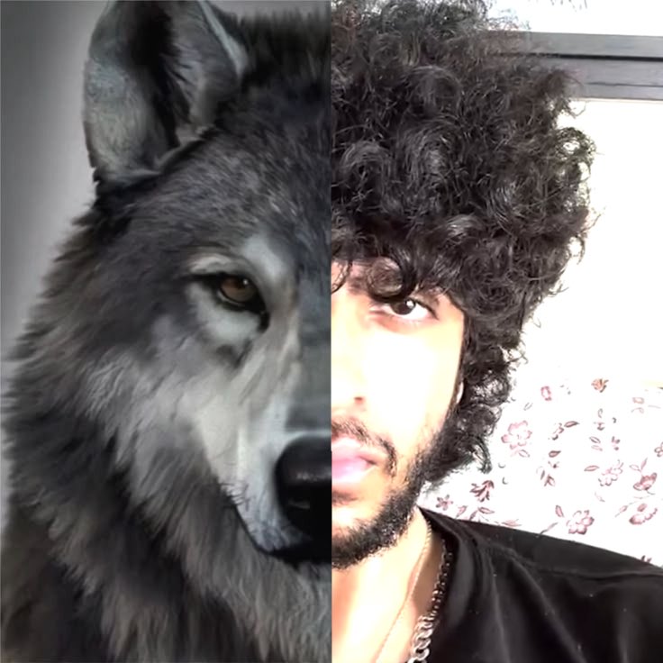 Sil3n1_'s tweet photo. ASHSWAG FACE REVEALED GRAHHHJ https://t.co/tojJ7qVrxo
