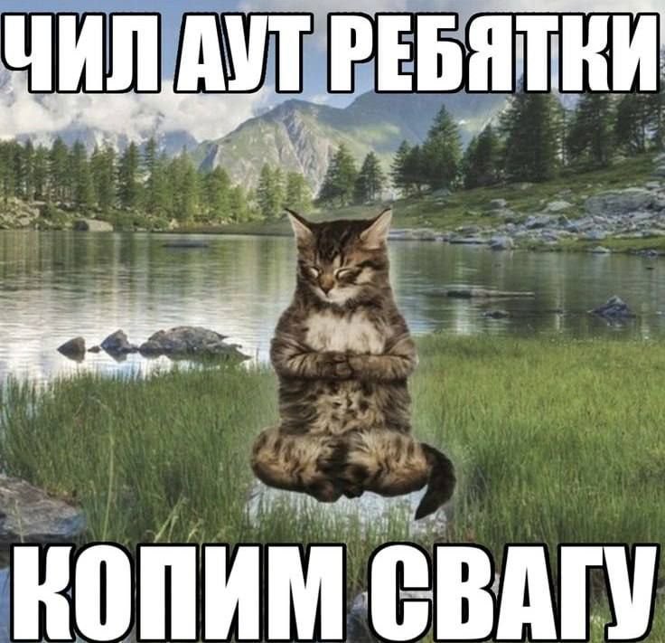 Hirunaloll's tweet photo. Го мью с кем-то пж
Буду выкладывать щп и крутые коллажики 
Шарю за кучу игр, ютуб, кпоп, твич и пару сериалов
#поискмью #мью https://t.co/Jk694VWfpd