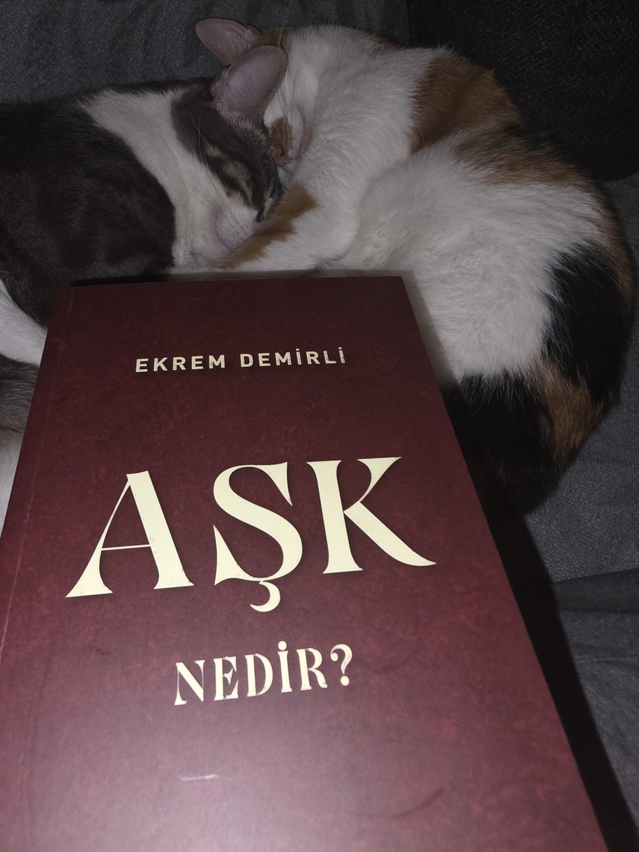 erkangucavli's tweet photo. - Budur mesela. ❤️🧿✨️

https://t.co/pS3QRhRV4k https://t.co/BB9yi2C6P8