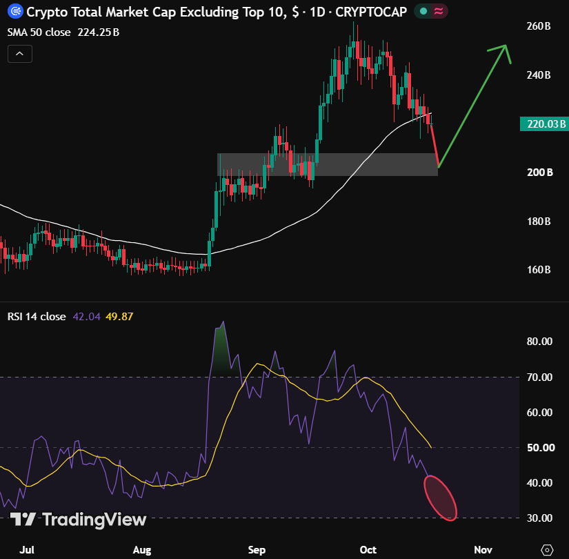 TedPillows's tweet photo. Altcoin MCap has lost its 50D SMA support level.

It's already down 15% from the local top, and I think there's one last flush left.

I want to see a drop towards September's bottom along with a full RSI reset.

This will make the base for the next leg up in alts. https://t.co/G38FuETTMd