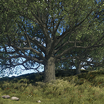 RustylootGG's tweet photo. Rust is getting FRUIT TREES ❗️

Hitting trees with fruit on them causes the fruit to drop to the ground, with apples having a 20% chance to spawn on oak trees. https://t.co/wESg3GpEke
