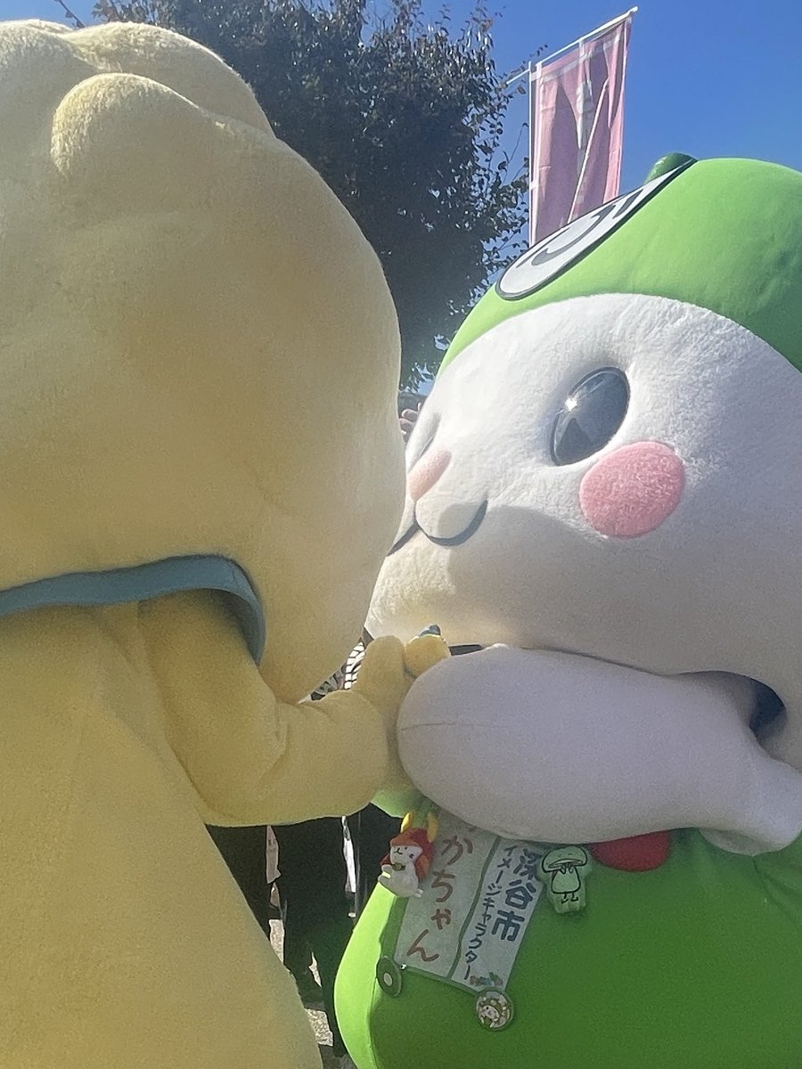 iroiroaruaru26's tweet photo. ほや丸ちゃん、ふっかちゃんにほやぬいプレゼント🎁
ふっかちゃんのお誕生日会出来なかったからね

 #ふっかちゃん
 #坂井ほや丸
 #ご当地キャラ博2026
 #ご当地キャラ博 https://t.co/NaqTCGWIOq