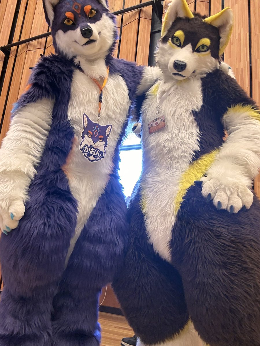 loveuph's tweet photo. 同じ工房っ子のツーショットと、なんか圧を感じる治安の悪い1枚🐺
#獣煮会3 https://t.co/5NHfTxA9km