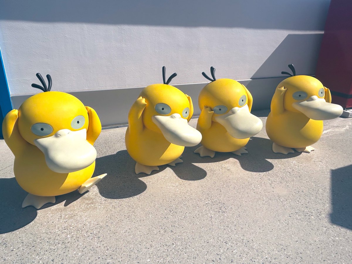 rion_pgHA's tweet photo. ポケパークかなり未知数で行ったけど大充実・大満喫でとっても楽しかった！！！
写真を同行者に全任せしてたから手元に全然ない(笑)
コダックとグリできなかったの悔しいからリベンジしたい…！ふれあいハウスの当番じゃないほうが沢山会える感じだった https://t.co/M1bCFHgM8O