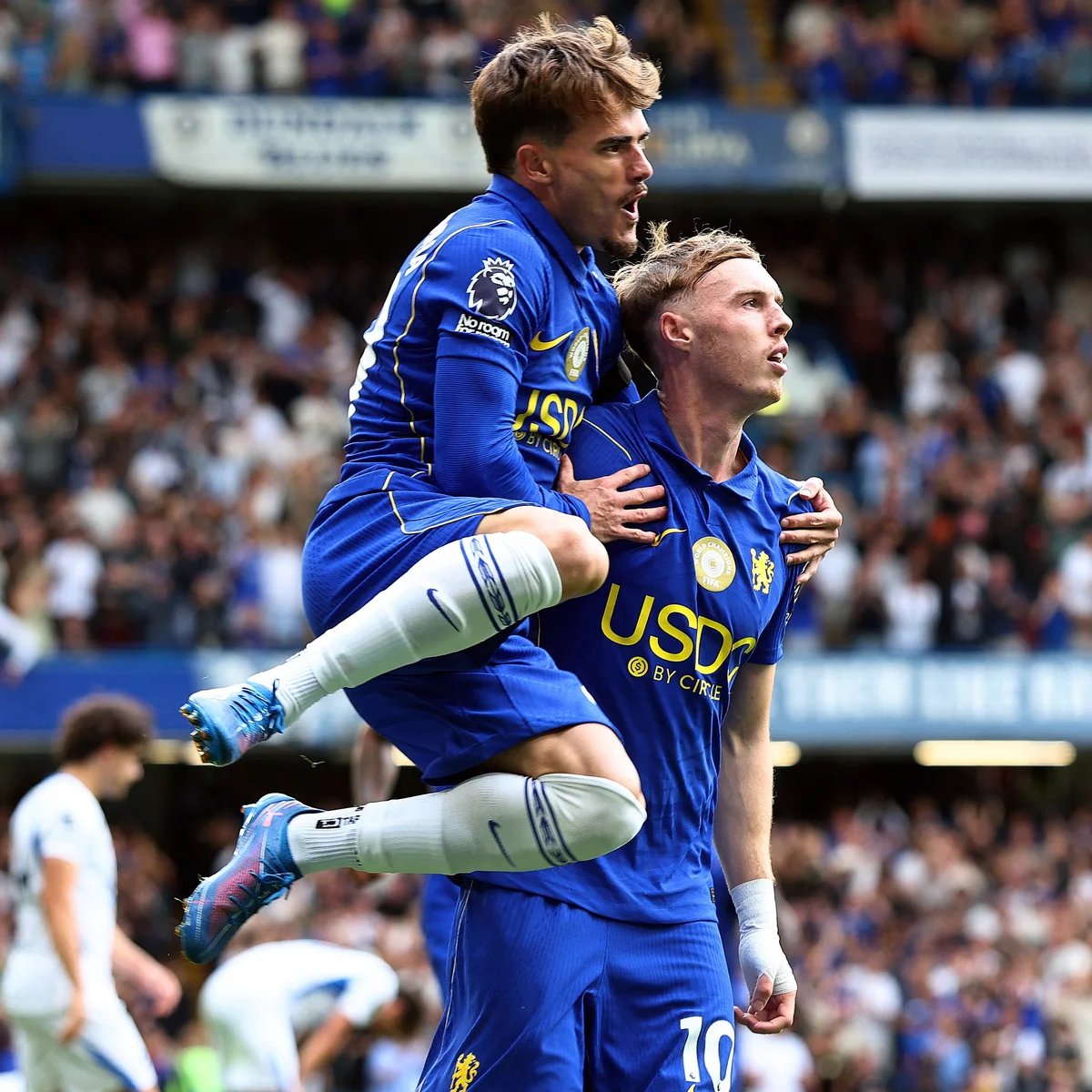 Blue_Footy's tweet photo. Brighton and Hove Albion have conceded only 5 goals in the Premier League this season, and 4 of those goals were scored by Chelsea, who are also the only team to have beaten them. https://t.co/Jonv2srINu
