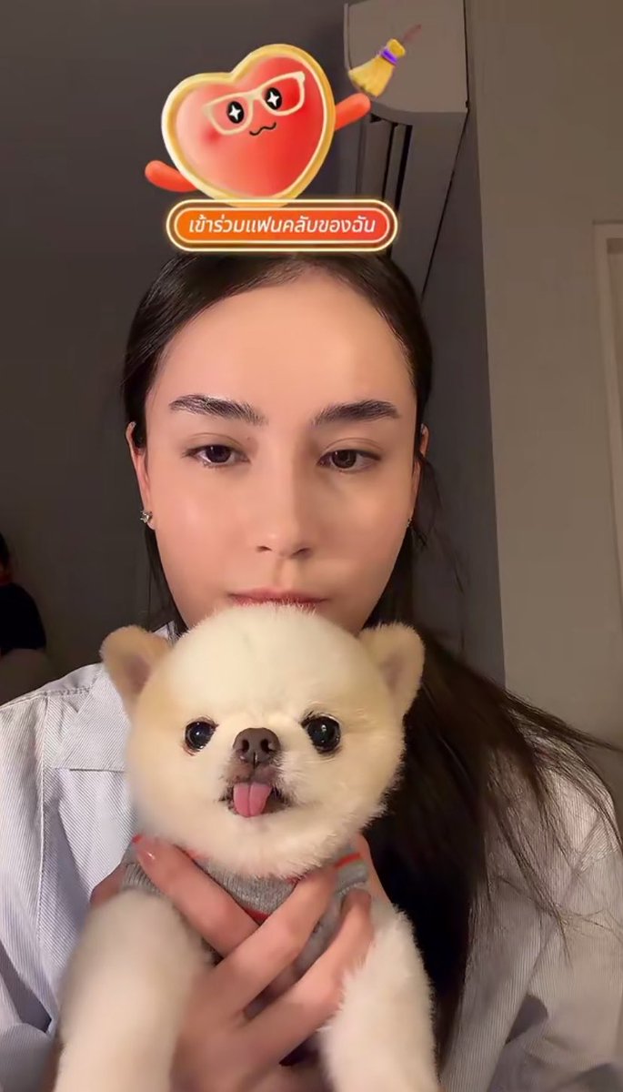 BLiwacat's tweet photo. I don’t know why, but I miss Snow so much 😭My grandchild, please come back soon! 🐶🤍🥹

#aangelinaass https://t.co/JvPMJtNtLx