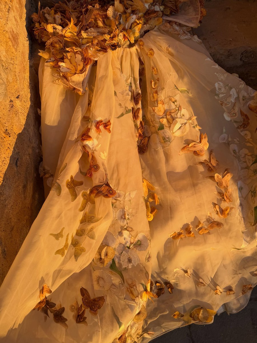 mleuxss's tweet photo. alexandra in this dress… wow https://t.co/CSYCYwaA08