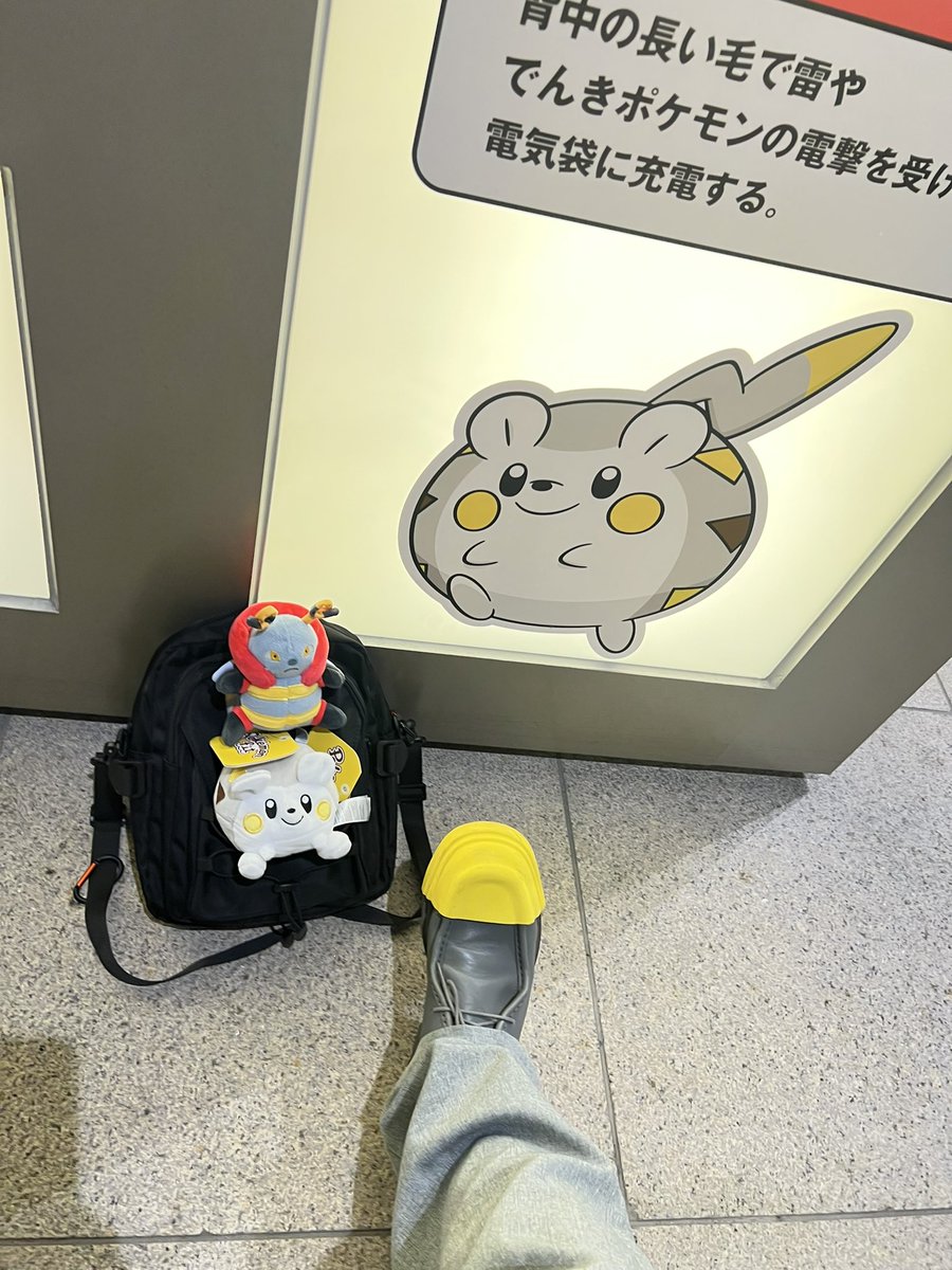 HaaRuuMaaKii's tweet photo. #伝ポケリサーチ
たのしかった！制作者の皆さんの愛も感じつつ、無事に認定された😊
仲良しみんなで挑めた事も良かったんだけど、周り���いる全然知らないたくさんのトレーナー達もみんな相棒を連れてリサーチしてたのがめちゃくちゃ幸せだった。 https://t.co/6ah1zyMKa2