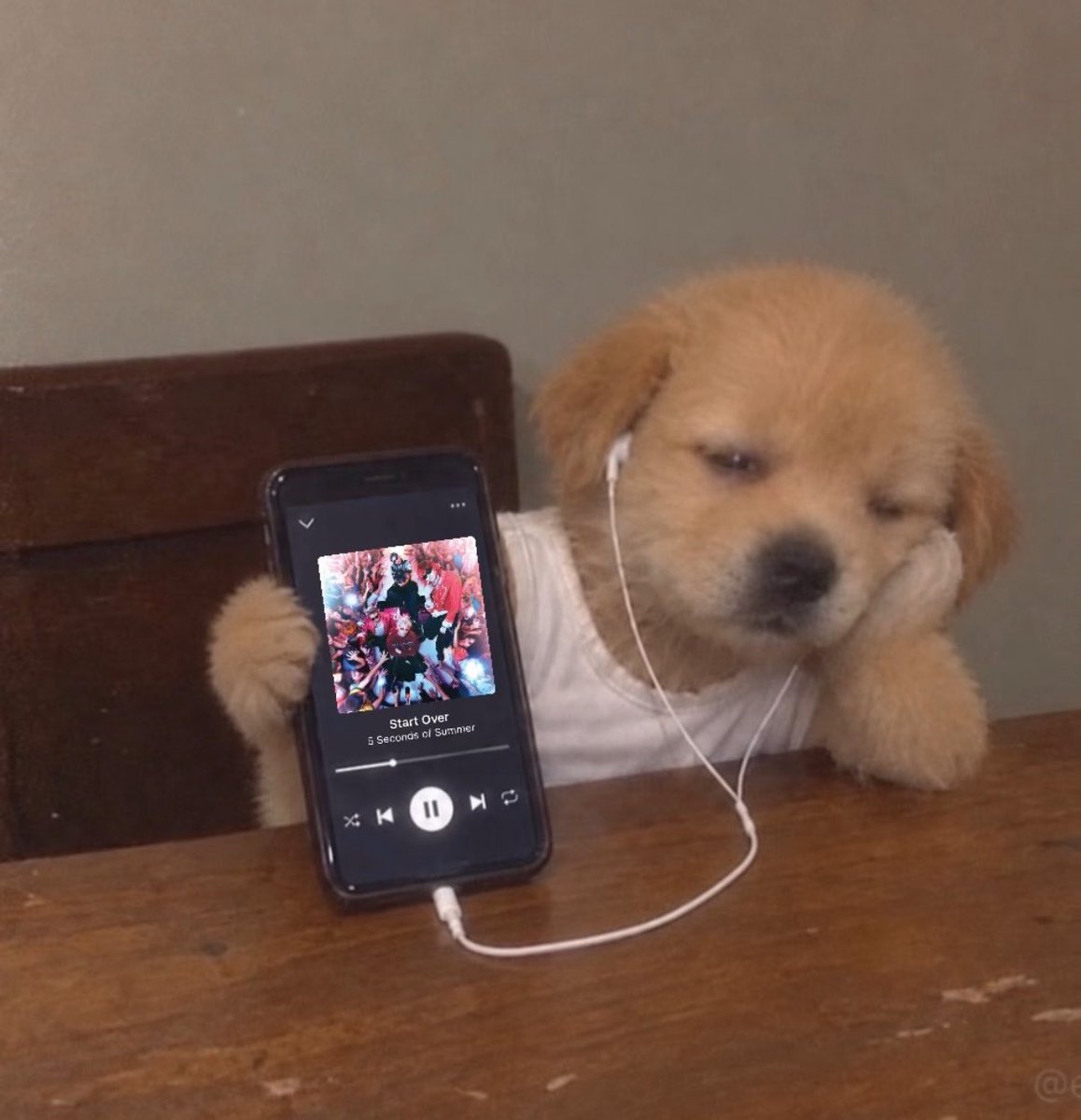 sunxlrh's tweet photo. accurate representation of me https://t.co/z5iwaiV9uC