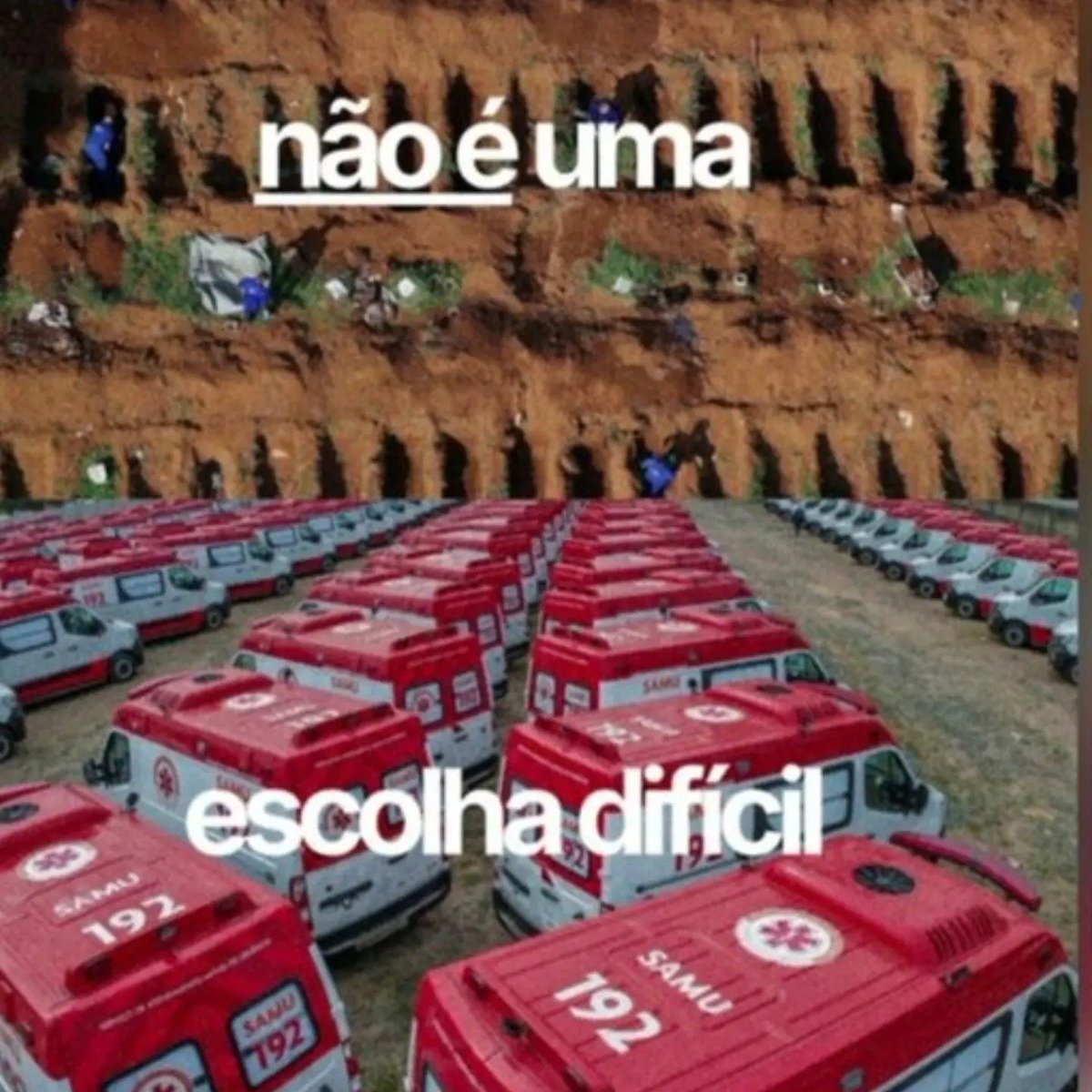 caetano_miriam's tweet photo. NÃO ESQUECEREMOS
#VacinaSalvaVidaBolsonaroTira
#ElesPoderiamEstarVivos https://t.co/jyBwJ9RV59
