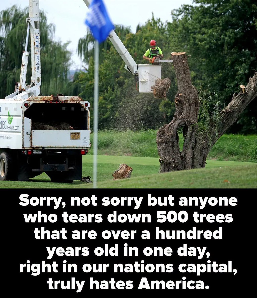 DeGeorgeG's tweet photo. https://t.co/SmiolZozEx