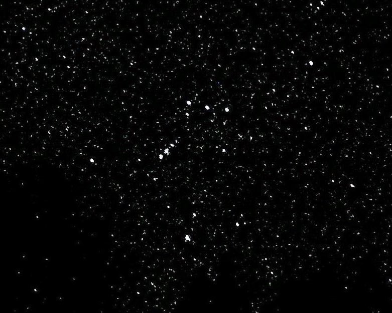 sage_astr's tweet photo. orion https://t.co/JcVb9zzt5I