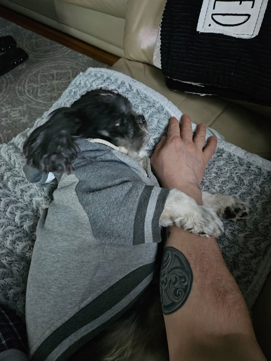 TioALnyc's tweet photo. Need the biggest of prayers right now for Gizmo🙏🙏🙏
Hug your fur babies.... Cherish every moment with them.... https://t.co/4yzWXpktzN