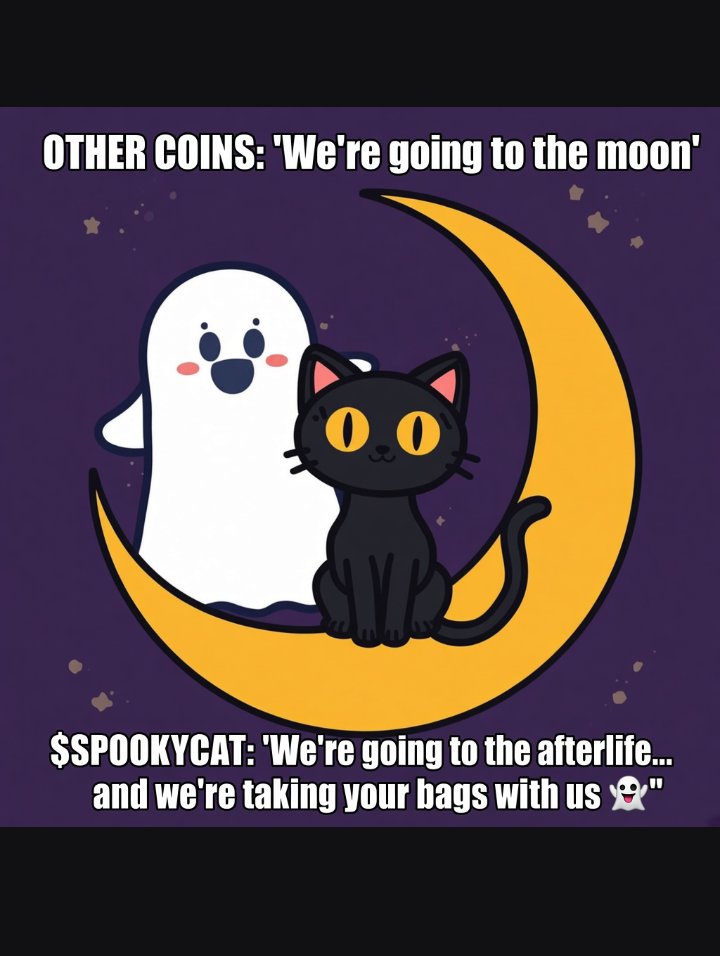 Cryptoemma13's tweet photo. When other coins promise the moon…
$SPOOKYCAT books a one-way trip to the afterlife and drags your bags with it 
This is not financial advice.
This is a haunting.
#SPOOKYCAT #HalloweenMemeContest #SpookySeason
@SpookyMoonCat1 https://t.co/6EYg52wlZL