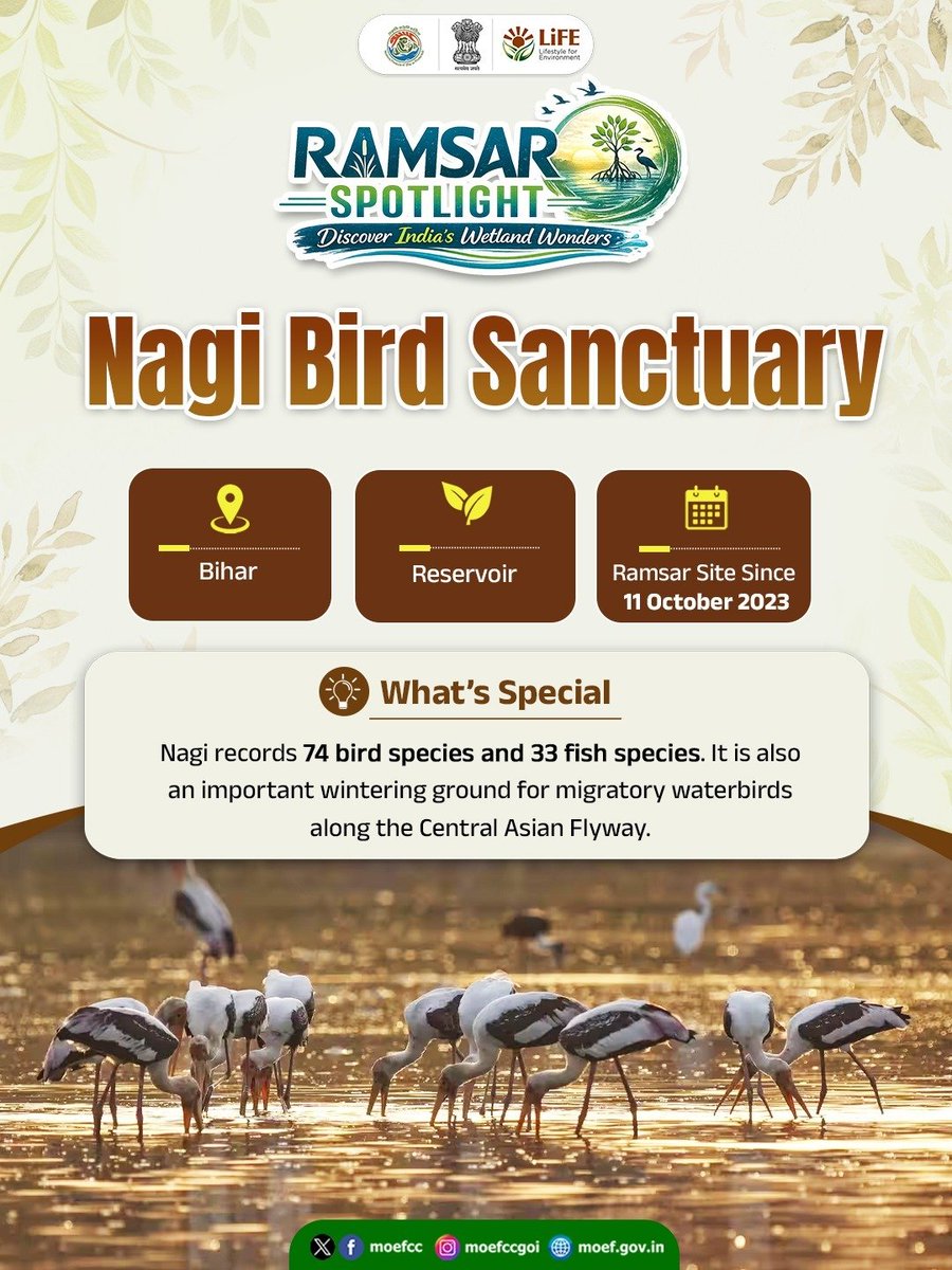 moefcc's tweet photo. Today's #RamsarSpotlight takes us to Nagi Bird Sanctuary in Bihar.

A Durga temple within the wetland hosts a fair during Nawami Puja, bringing villagers together alongside a landscape that welcomes resident and migratory birds.

A place where faith, community and nature share the same space.

#WetlandsofIndia