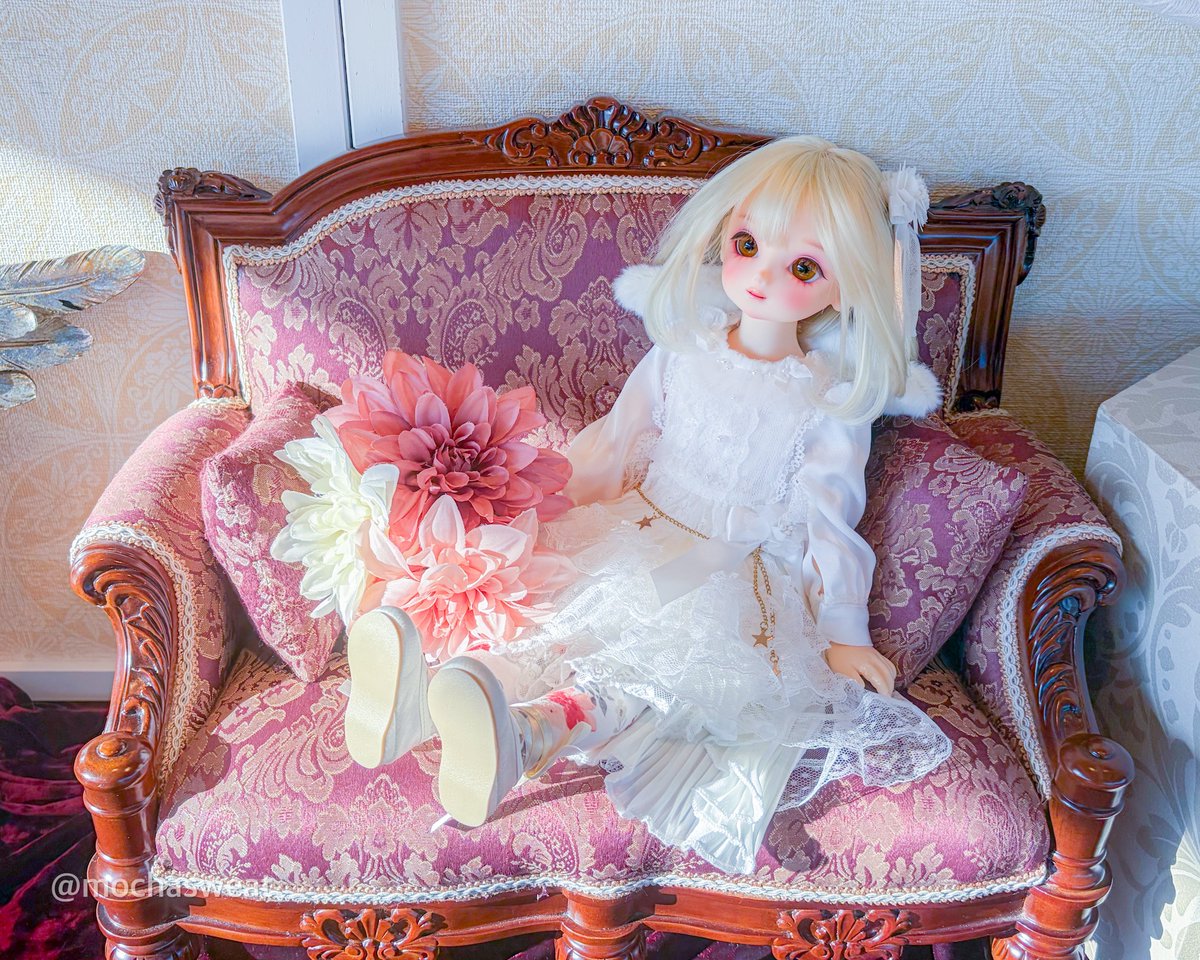 mochasweat's tweet photo. ゆきちゃんと聞いて立場的に（？）お迎えしたいとお里に行ったらご縁がありましたゆきちゃんですかわいいねぇ🥰️💕️
#DearSD 
#結天使ゆき https://t.co/oJlSdcVkzp