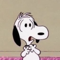hudsnoopy tweet picture