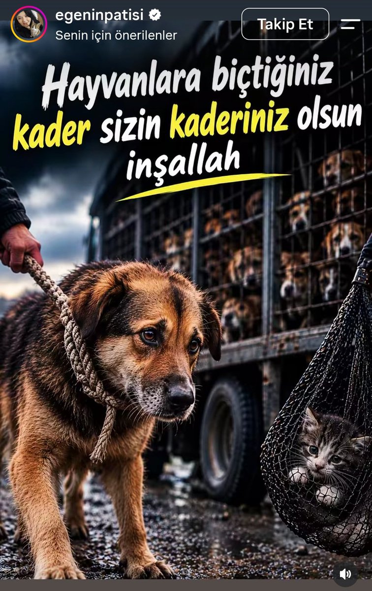 AylaKuruk's tweet photo. @Akparti Aminnnn https://t.co/O3J7BNHwj2