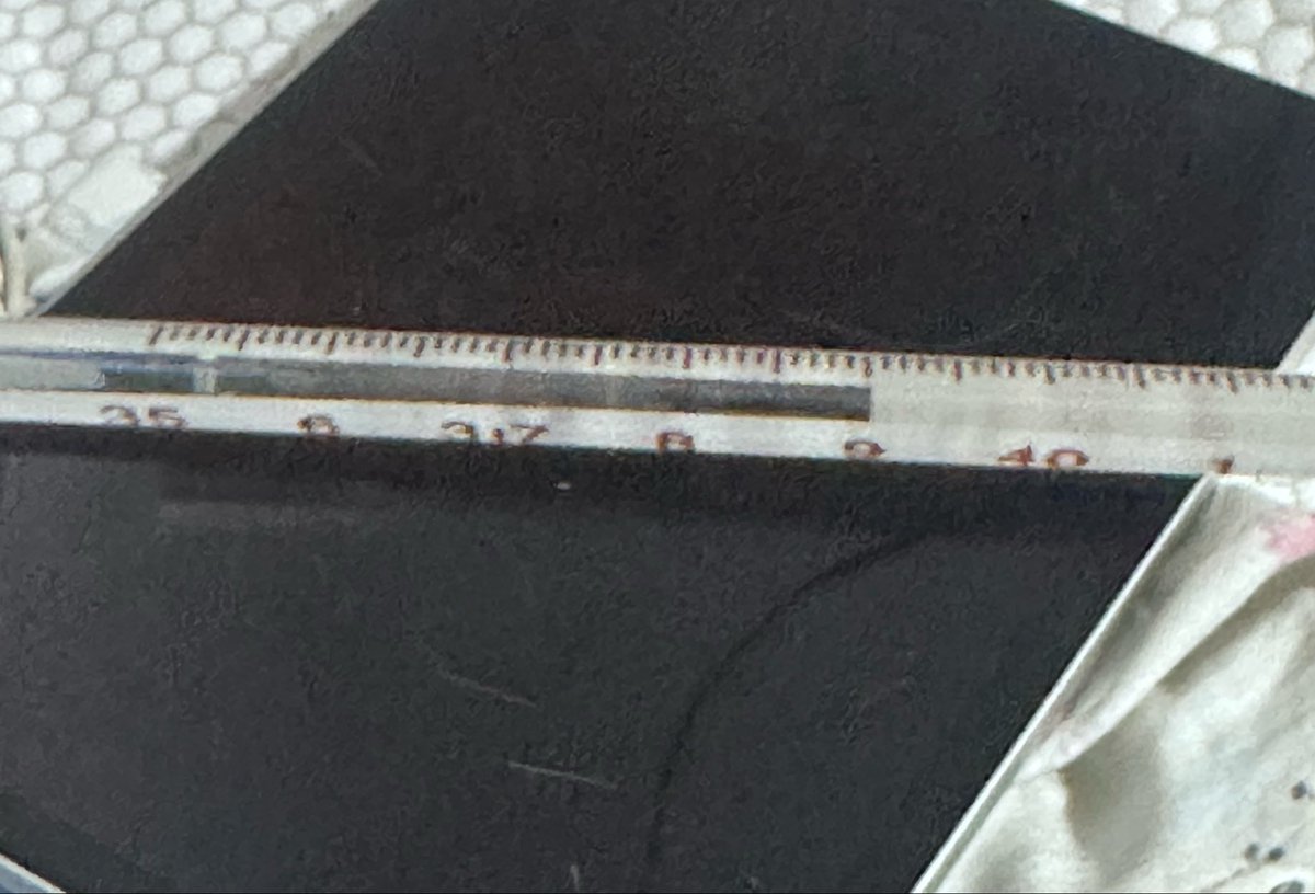 Satisfy_OvO's tweet photo. 以前有次烧到39度 难受了一天昏昏沉沉的进房间就被按着头跪到地上了 一根几把就弹到脸上了 怎么描述呢 洗完澡是干净的 干燥的 弹到脸上是温热的 人的体温 但当时摸起来好像比我的体温还高…硬邦邦的就到处乱戳…
六个小时的钟点做了五次 一直被翻来覆去的操 他说好烫好紧好舒服…我的腰腿b都缓了一周.. https://t.co/R0HAHlAYBs