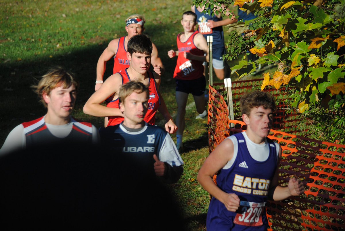 SWBLSPORTS's tweet photo. GALLERY | 2026 Boys SWBL Cross Country Championships at Eaton’s Fort St. Clair Park https://t.co/r0XxUtQh9R https://t.co/PcdeLnEjR6