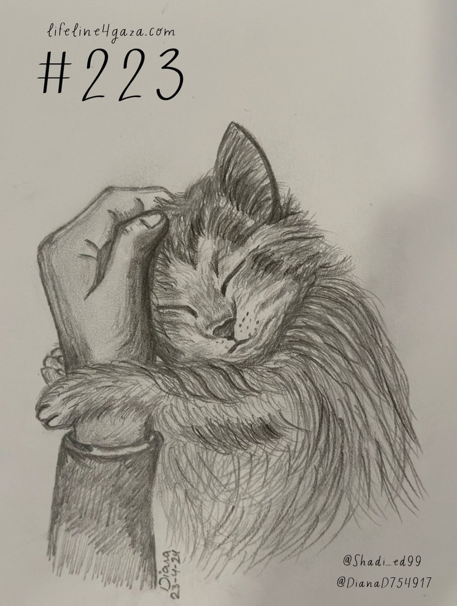 Merlinonasunday's tweet photo. This gorgeous drawing was made by Shadi's older sister Diana after their cat Bono passed away. Shadi was devastated by the loss of his beloved companion. May they be reunited somewhere beautiful now ❤️‍🩹🕊️
Help his remaining family: https://t.co/dBoHhD4OH0 https://t.co/bs1tG2E60H