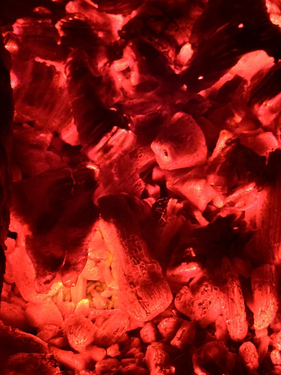 NullFUD's tweet photo. the fire is so calming, how lucky we are its crazy we can go find some woods and light it on fire and stare at it for hours while feeling its warmth

life is very good, very glad to experience it 

hope all of u had an amazing day, good night ilu friends https://t.co/zEmY8GHl7R