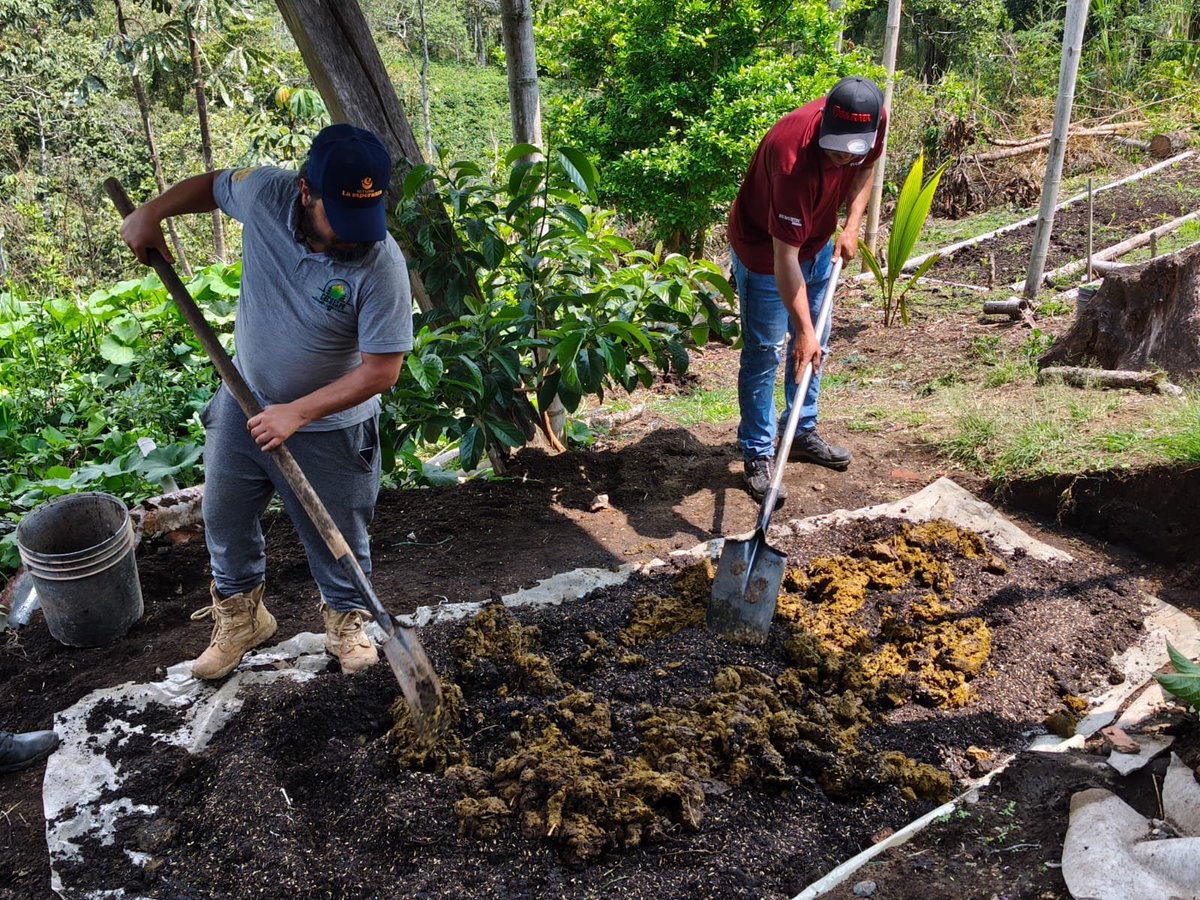 ARNColombia's tweet photo. En Timbío, #Cauca, la @ARNColombia acompañó a la Cooperativa CECOESPE en un taller de elaboración de abonos orgánicos para fortalecer los proyectos productivos de café y turismo que impulsan las y los firmantes de paz en este territorio. https://t.co/99f4WsQFlv