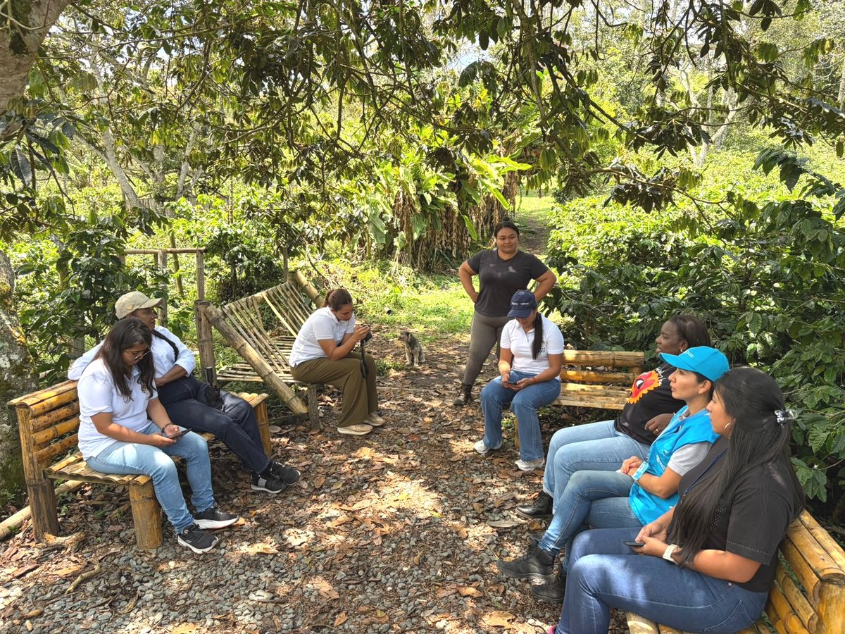 ARNColombia's tweet photo. Con apoyo de Tecniagro fortalecieron conocimientos sobre suelos y abonos. Y con el acompañamiento de la Secretaría de Desarrollo Económico y Competitividad de la @GobCauca revisaron ideas para impulsar el turismo comunitario. Así avanzamos en la sostenibilidad económica. https://t.co/aWb65RHEoY