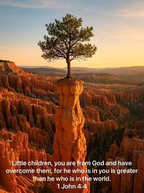 elaine_jac's tweet photo. @AmandaGrace_AOG https://t.co/XIFPmYB8L5