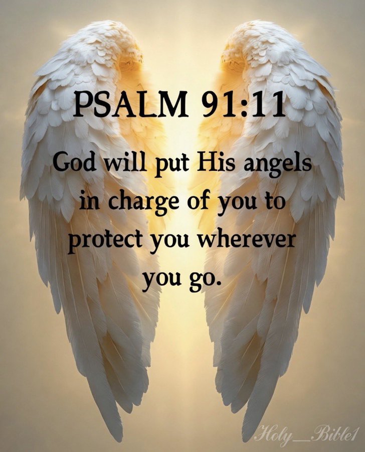 elaine_jac's tweet photo. @AmandaGrace_AOG https://t.co/XIFPmYB8L5