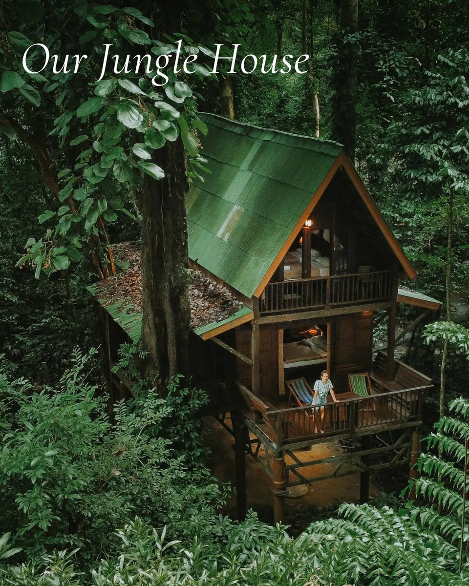 little_monster1's tweet photo. Holly's Top Thailand Escape IV

Our Jungle House offers a true rainforest escape: monkeys, tropical birds and canopy sleeping. Ideal for adventurous families and nature-loving couples. Skip it if you need air-con or easy access. Don’t miss the https://t.co/SkaZ5oC4OG