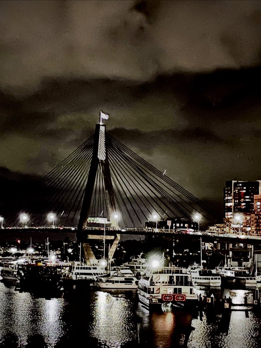 ChristyFlaata's tweet photo. Sydney’s Anzac Bridge, viewed from the Sydney Fish Market. https://t.co/t0I24cY6jO