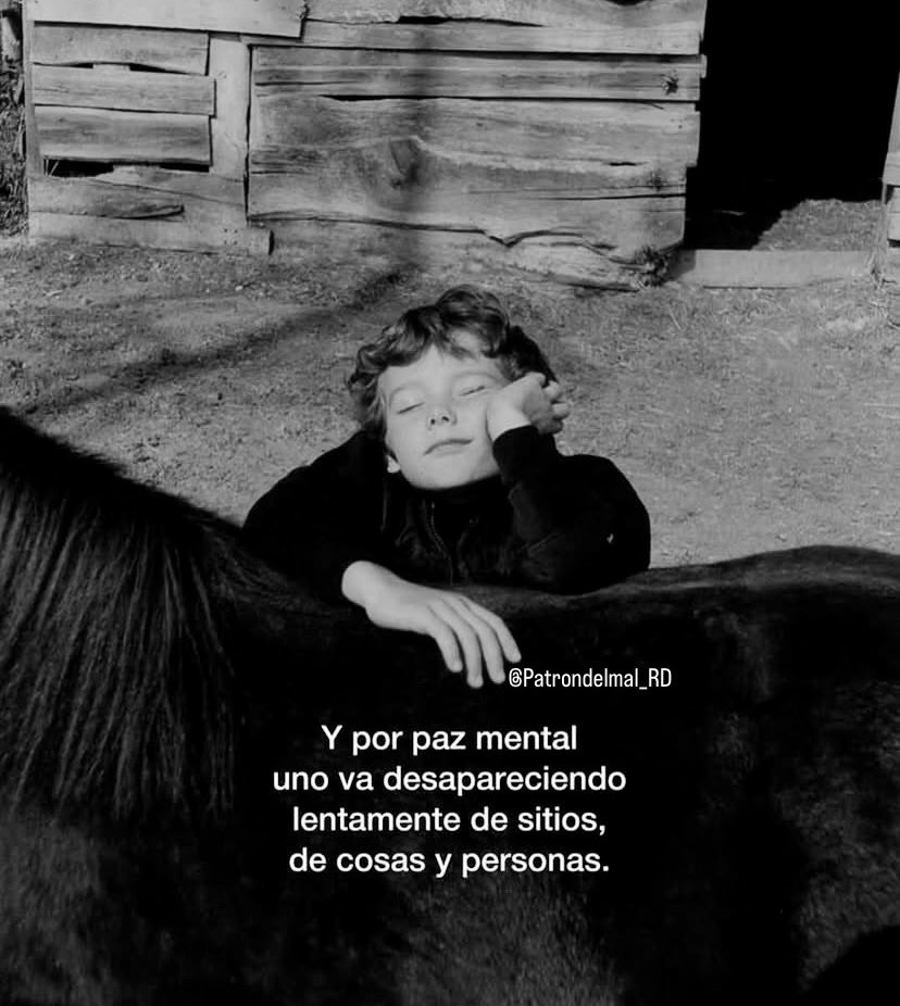 Patrondelmal_RD's tweet photo. Y por paz mental. https://t.co/vX2SJ1GvUq