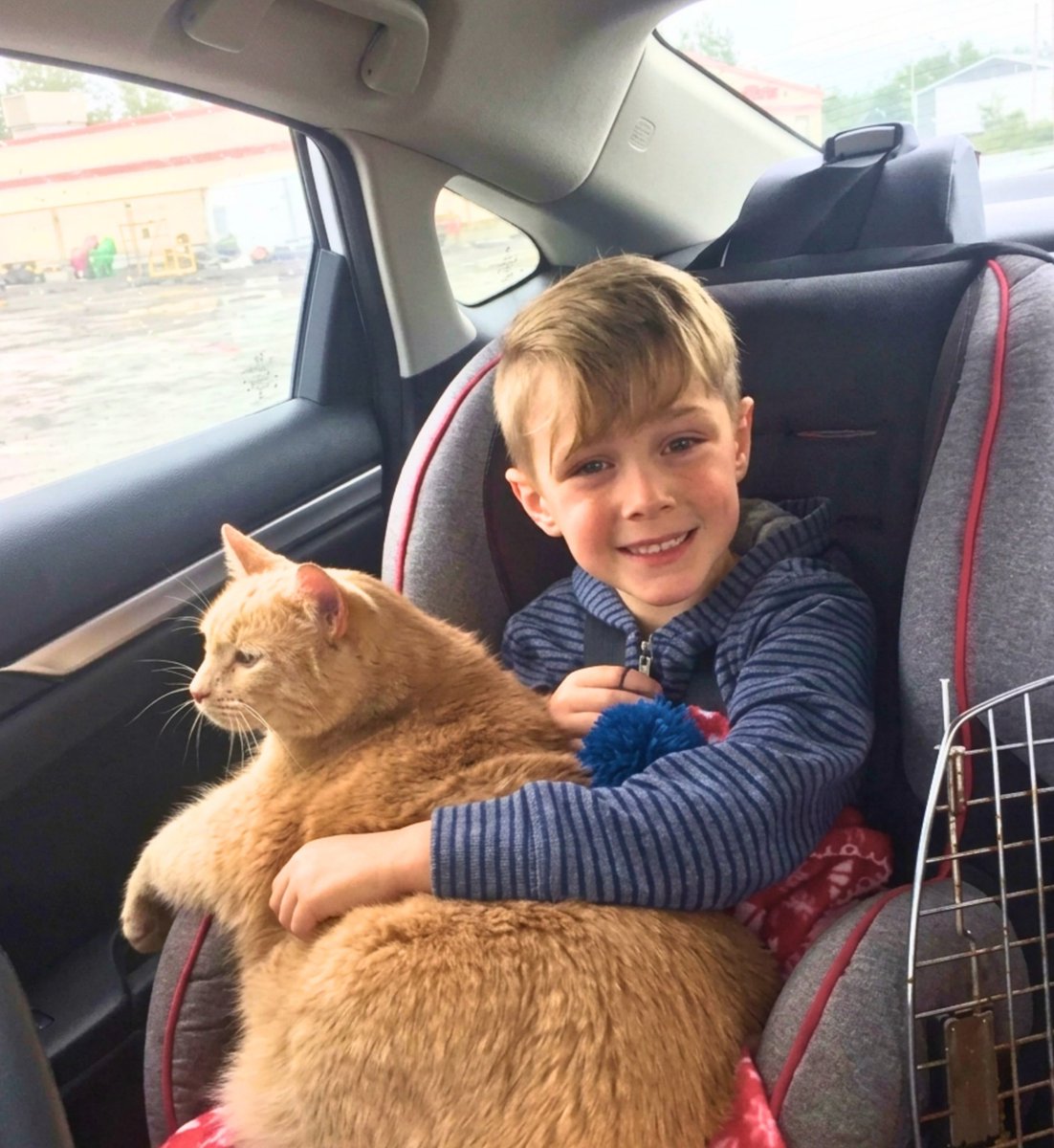 Mrsnowyycat's tweet photo. HIS MOM SAID "PICK ANY ANIMAL YOU WANT, AND HE CHOSE THE OLDEST, SHYEST, CHUBBIEST CAT IN THE SHELTER https://t.co/2b2whHs8d9