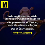 Photo by  Der Rest ist Schweigen (@VanOrton4)