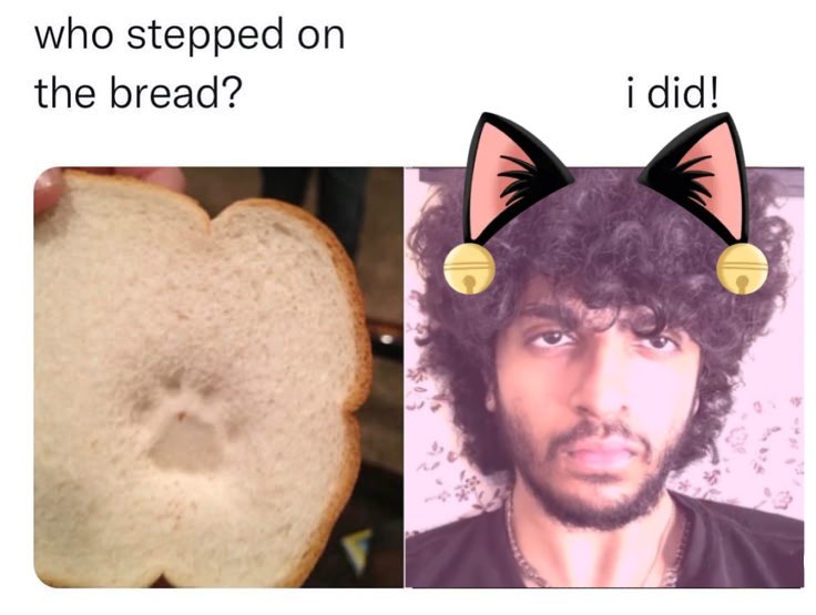 saucepawss's tweet photo. can we start making these of ash like they used to make of mcyts in 2020 https://t.co/A34PCsyzPn