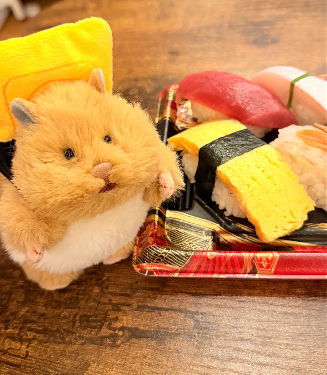 gbl_to_camera's tweet photo. これがやりたかった🍣
#はむにぎり #cando https://t.co/1g4ED4z44y