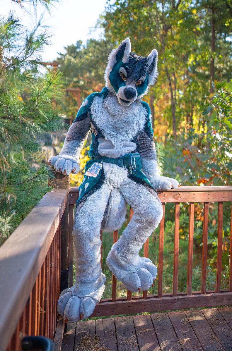 yeagerwuff's tweet photo. Be careful, there’s wolves out here 
📸: @Tiger_Bunni https://t.co/sNKO7XdJoH
