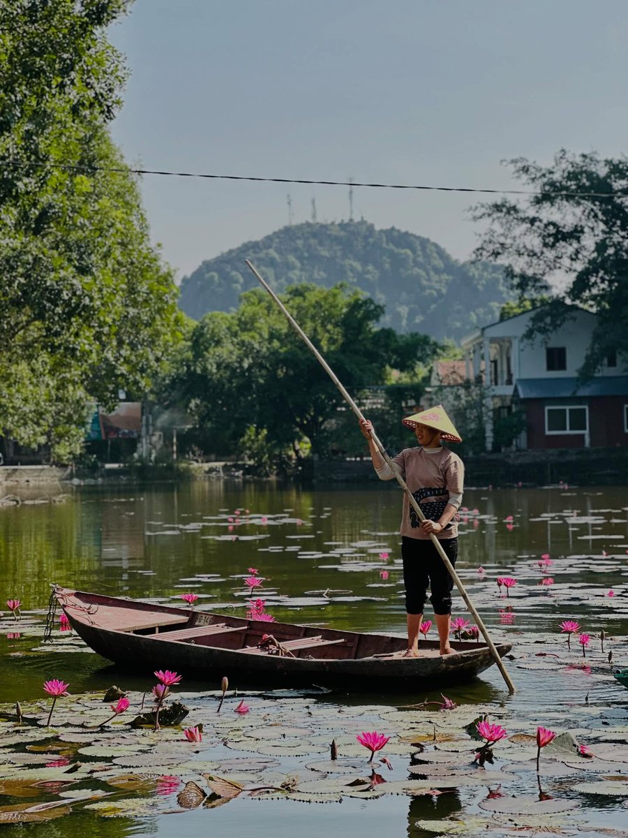 HOGRBARAN's tweet photo. Ninh Binh: Bich Dong, la quieta grotta di Thien Ha, la salita di Hang Mua con vista su Tam Coc e Hoa Lu, antica capitale del Vietnam tra X e XI secolo. Un viaggio tra natura, storia e paesaggi carsici. https://t.co/o1SBMvZVLZ