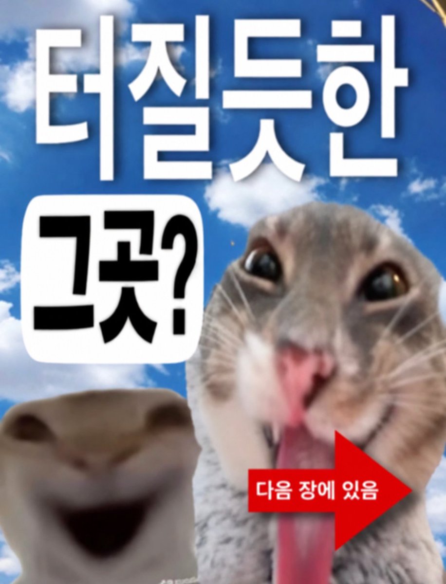 ciqcb99's tweet photo. @hhxhyo 두번째 ㅅㅏ진으로 헬눁넣고 싶네요. https://t.co/JMbzhHxbMX