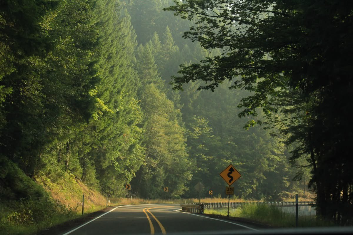 greenvibe's tweet photo. If life is more livable, it is because of nature. https://t.co/mjBfLJxQsq