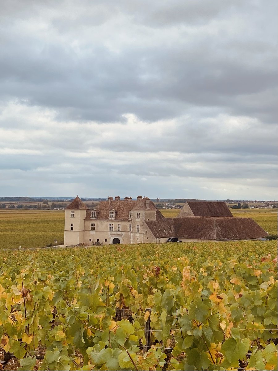 ceseph's tweet photo. Balade automnale dans les vignes
🍇🍂✨ #bourgogne #cotedor #closvougeot https://t.co/sKc0T2uKCK